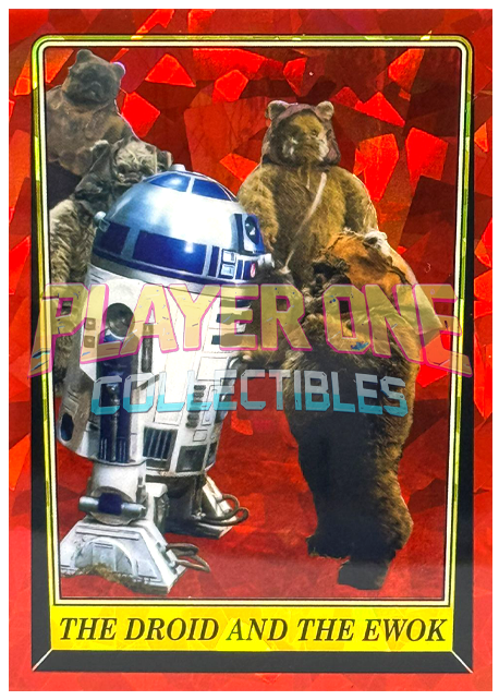 THE DROID AND THE EWOK