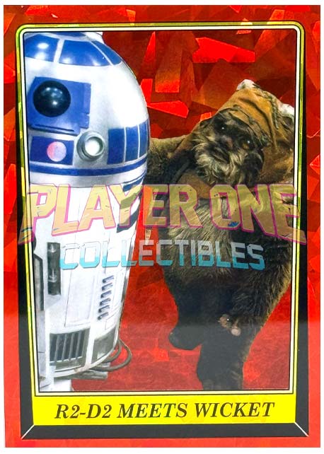 R2-D2 MEETS WICKET