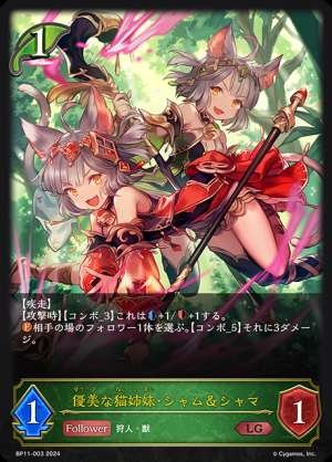 Graceful cat sisters, Siamese and Shama