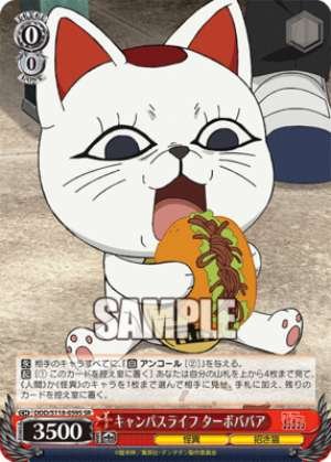 Campus Life Turbo Granny DDD