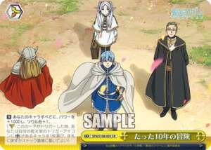 A 10-year adventure SFN