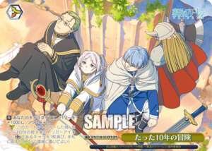 A 10-year adventure SFN