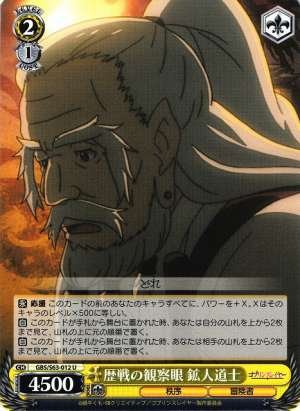 Dwarf Shaman, Observant Eye of a War Veteran