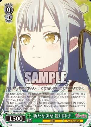 A New Determination Sachiko Toyokawa