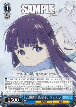 Days in the North Fern SFN