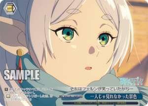 Scenery I couldn't see alone SFN