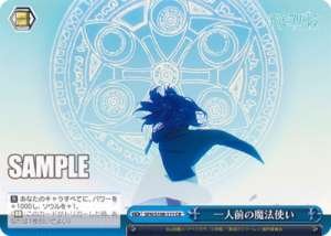 A Full-fledged Wizard SFN