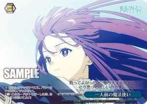 A Full-fledged Wizard SFN