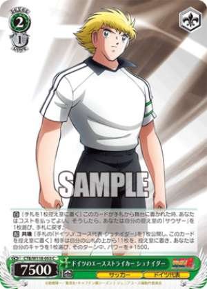 Germany's ace striker Schneider