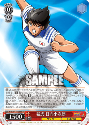 Fierce Tiger Kojiro Hyuga CTB