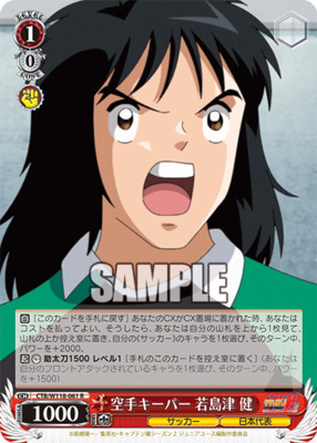 Karate Goalkeeper Ken Wakashimazu CTB