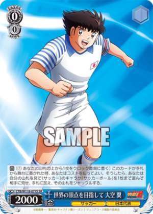 Aiming for the top of the world Tsubasa Ozora CTB