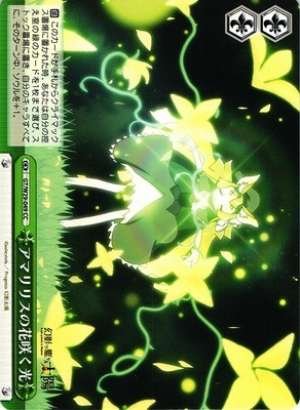 Shine from the Amaryllis Flower