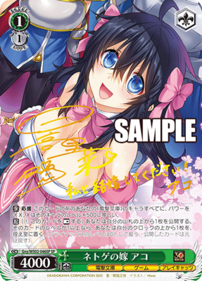 Ako, Wife in the Online Game