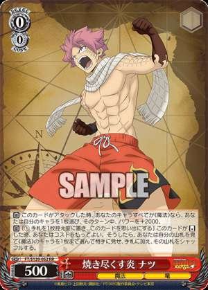 Burning flames Natsuyakitsuhonoo Natsu