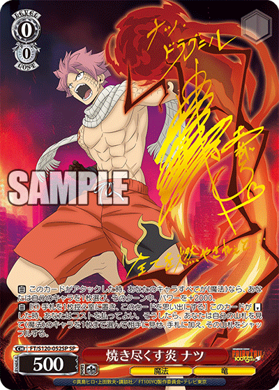 Burning flames Natsuyakitsuhonoo Natsu