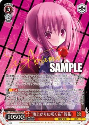 "Shiny Gift" Tomoka
