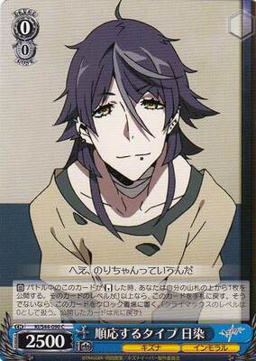 Hisomu, Adaptative Type