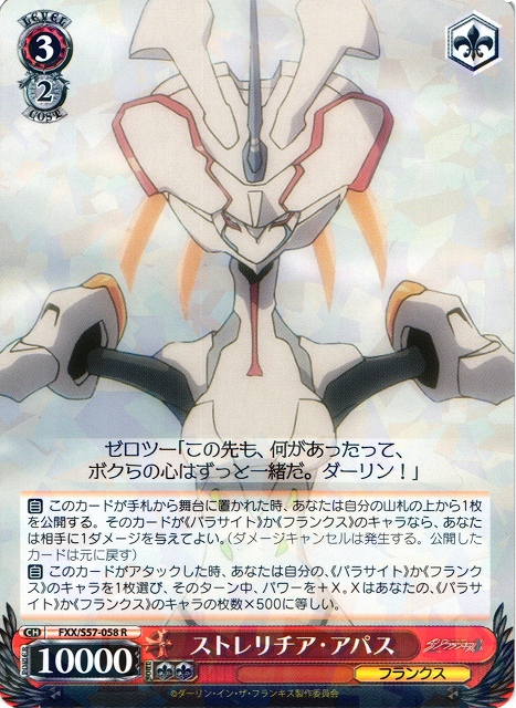 Strelizia Apus