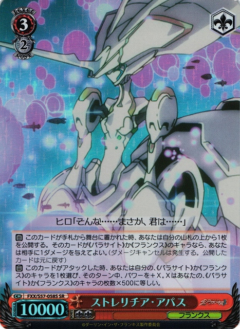 Strelizia Apus