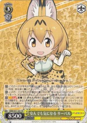Serval, Curious About Everything
