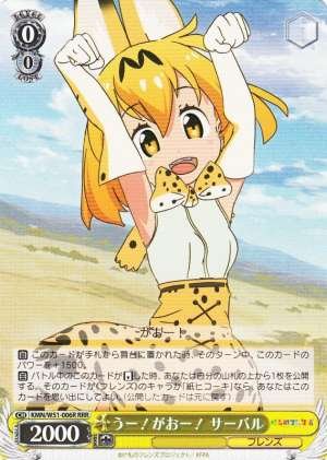 Serval, RAWR!