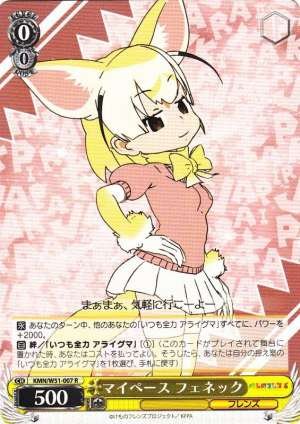 Fennec at Her Own Pace