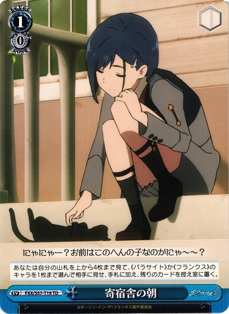 Morning at the Dorm