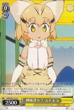 Sand Cat, Really Interested?