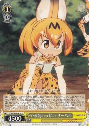 Serval, Eager to Do This