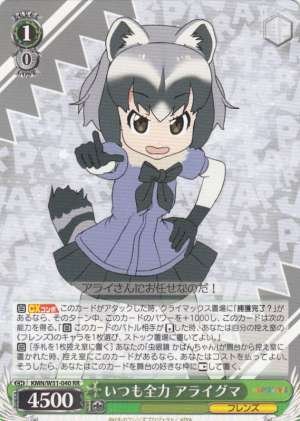 Common Raccoon, Always Full Power