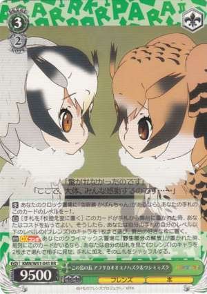 Northern White-faced Owl & Eurasian Eagle Owl, Chiefs of the Island