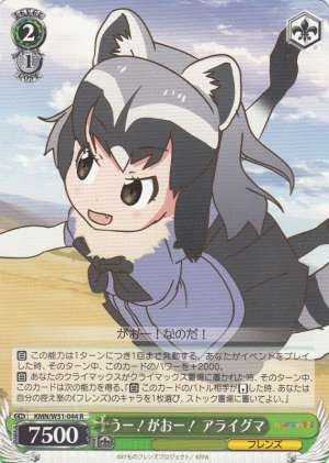 Common Raccoon, RAWR!