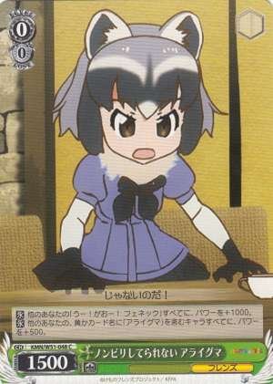 Common Raccoon, Can't Be at Ease