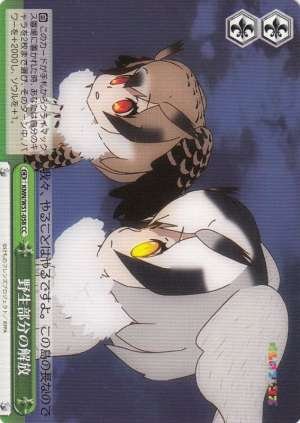 Releasing the Wild Side