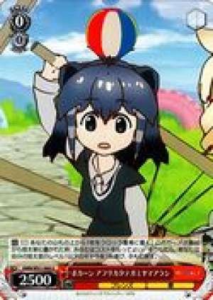 North African Crested Porcupine, Boom