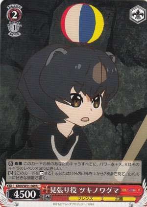 Asian Black Bear, Lookout