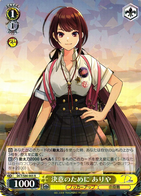 Ariya, For the Sake of Determination