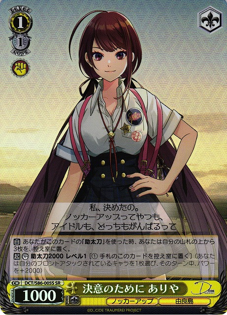 Ariya, For the Sake of Determination