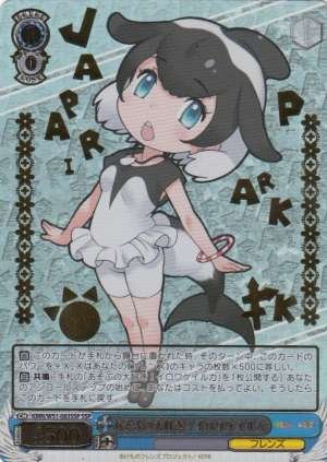 Commerson's Dolphin, Loves Playing!