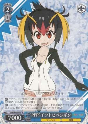 "PPP" Southern Rockhopper Penguin