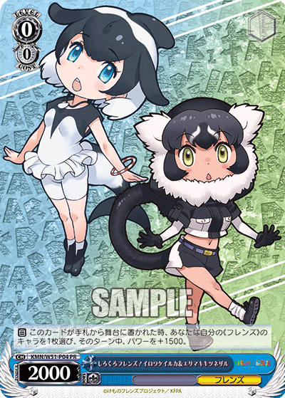 Black and white friends! Commelinus dolphins and frilled lemurs
