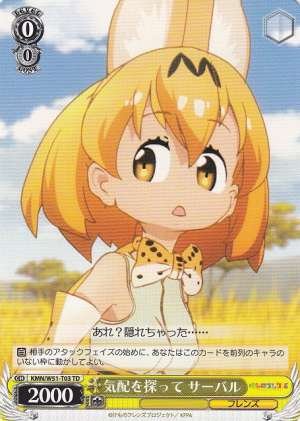 Serval, Searching for a Sign