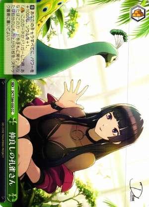 Friendly Peacock-san