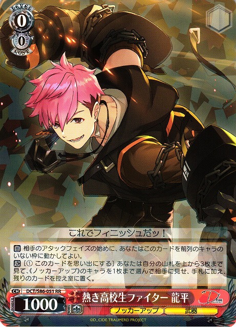 Ryuhei, Spirited High Schooler Fighter