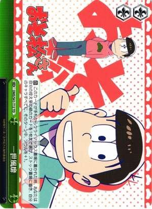 Taking the World by Storm