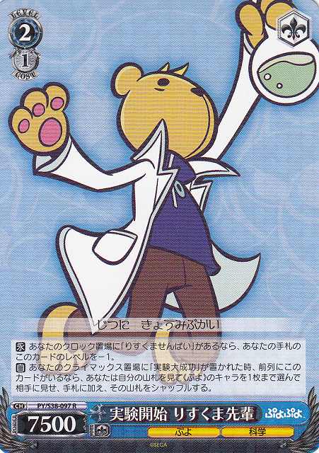 Risukuma-senpai, Start of Experiment