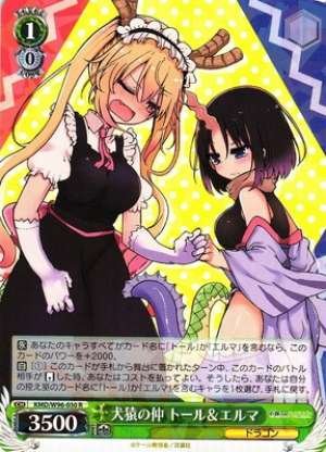 Tohru & Elma, Dog and Monkey Friends