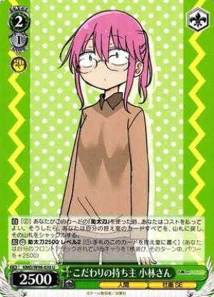 Kobayashi-san, Discerning Owner