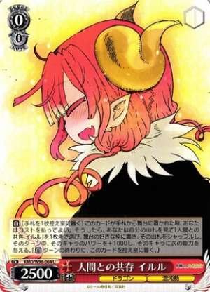 Ilulu, Coexistence with Humans